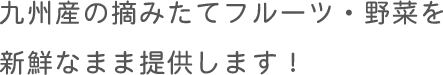 九州産の摘みたてフルーツ・野菜を新鮮なまま提供します！