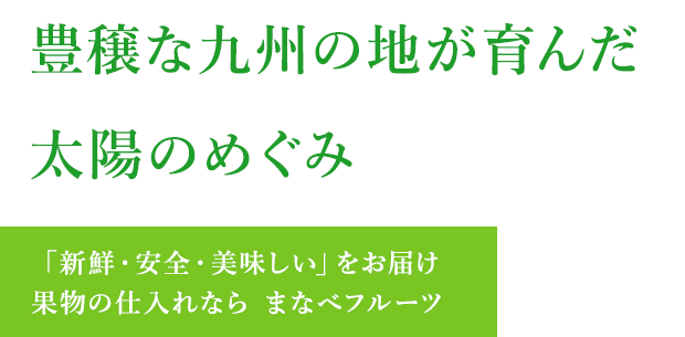 豊穣な九州の地が育んだ太陽のめぐみ 「新鮮・安全・美味しい」をお届け 果物の仕入れならまなべフルーツ